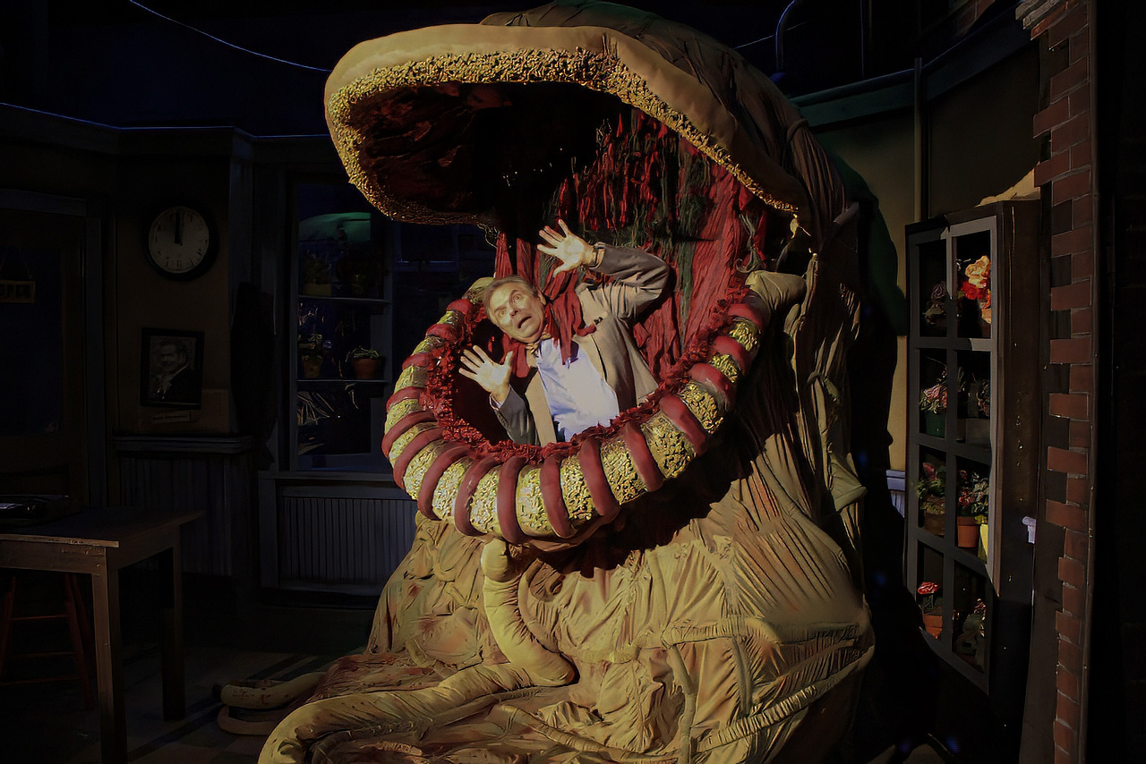 Production image from Little Shop of Horrors showing practical counters, windows, and detailed shop textures, scenic design by Brandon PT Davis.